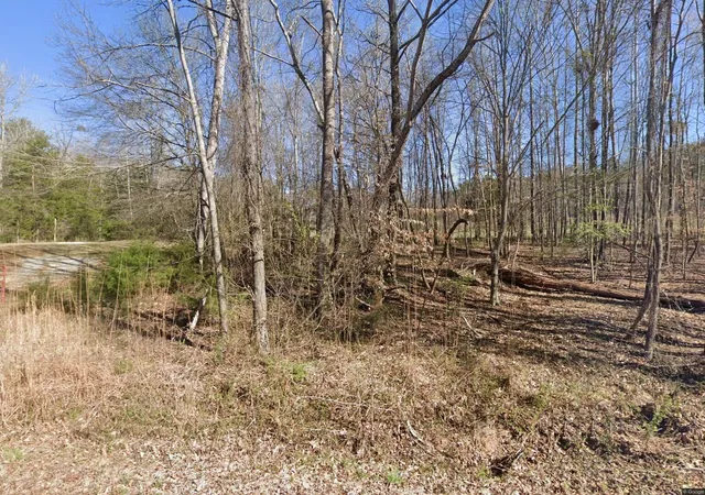 1st image of 180 Whitlock Lake Rd, Jonesville, SC 29353 | MLS# SPN340441