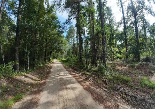 15th image of 00 Lowcountry Hwy, Smoaks, SC 29481 | MLS# SPN340445