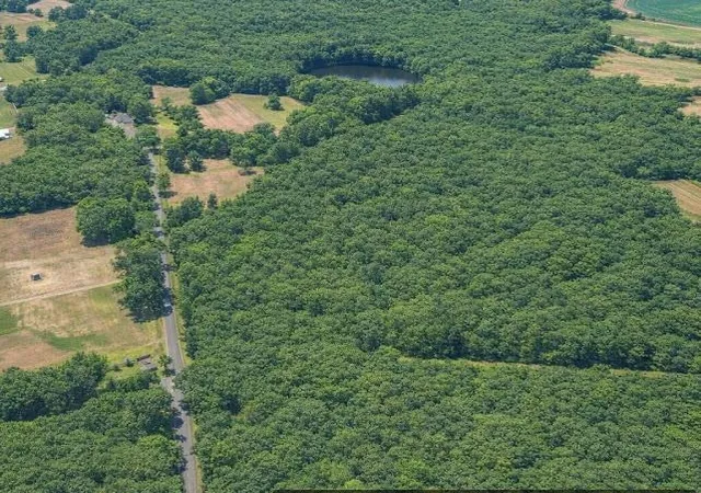 Photo 3 of Land for sale at 00 Lowcountry Hwy, Smoaks, SC 29481 | MLS# SPN340445 | Listing updated on 2026-08-12