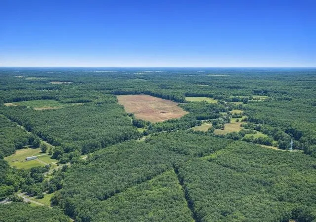 Photo 3 of Land for sale at 00 Lowcountry Hwy, Smoaks, SC 29481 | MLS# SPN340445 | Listing updated on 2026-08-12
