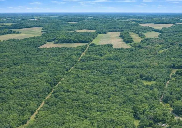 Photo 4 of Land for sale at 00 Lowcountry Hwy, Smoaks, SC 29481 | MLS# SPN340445 | Listing updated on 2026-08-12