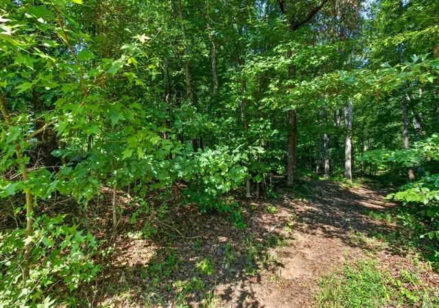 26th image of 000 John High Rd, Campobello, SC 29322 | MLS# SPN340448