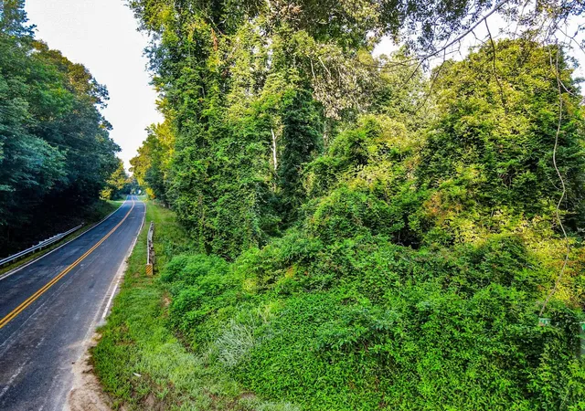 3rd image of 0 Gene Fleming Rd, Iva, SC 29655 | MLS# SPN340489