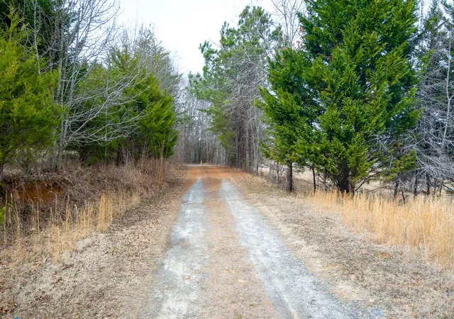 Photo 19 of Land for sale at 91 Stacy Dr, Inman, SC 29349 | MLS# SPN340569 | Listing updated on 2026-08-15