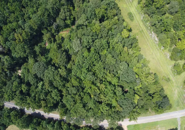 4th image of Tract C Dutch Creek Road, Pauline, SC 29374 | MLS# SPN340580