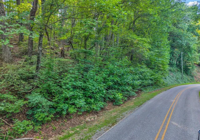 4th image of 00 Hogback Mountain Rd, Tryon, NC 28782 | MLS# SPN340623