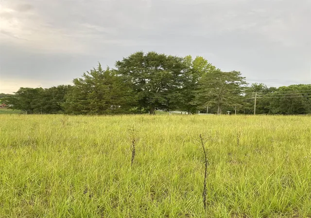 2nd image of 00 Parris Bridge Rd, Boiling Springs, SC 29316 | MLS# SPN340628