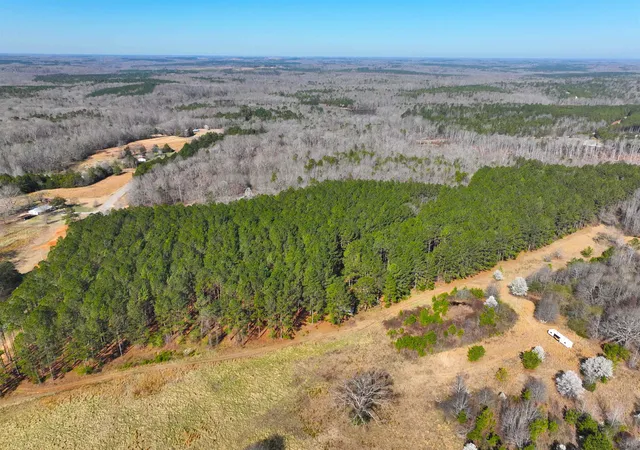 Photo 3 of Land for sale at 1 Bolt Rd, Gray Court, SC 29645 | MLS# SPN340774 | Listing updated on 2026-08-21