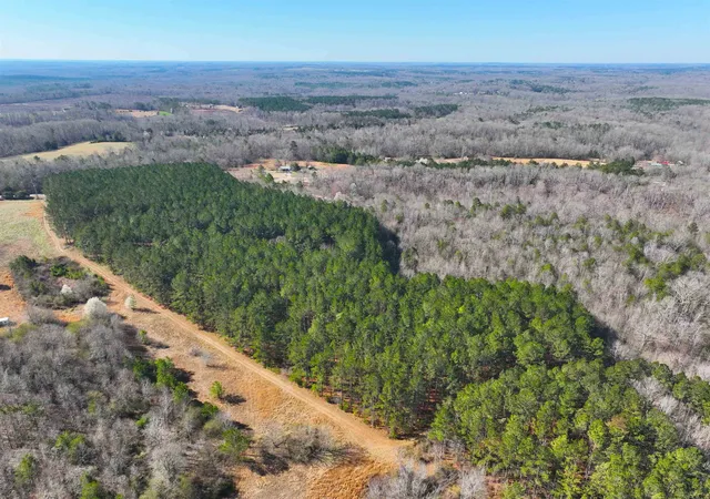 Photo 4 of Land for sale at 1 Bolt Rd, Gray Court, SC 29645 | MLS# SPN340774 | Listing updated on 2026-08-21