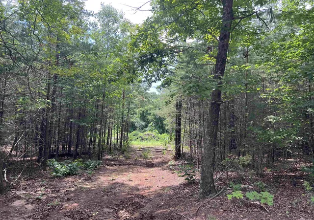 1st image of 500 Goforth Rd, Landrum, SC 29356 | MLS# SPN340808