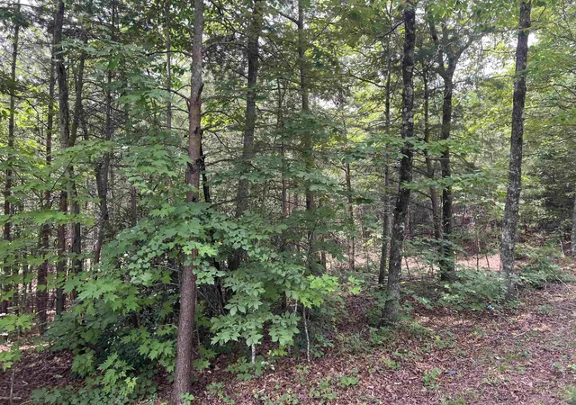 2nd image of 500 Goforth Rd, Landrum, SC 29356 | MLS# SPN340808
