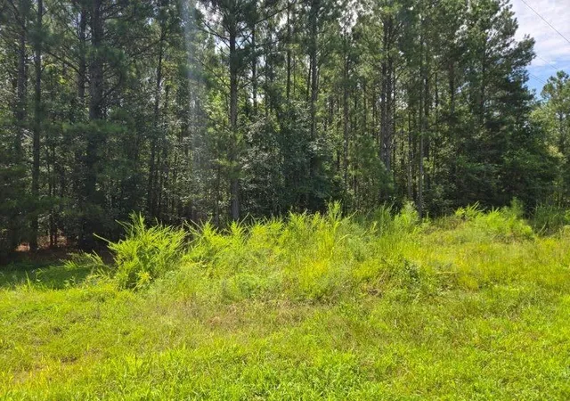 1st image of 00 Shrine Club Rd, Waterloo, SC 29384 | MLS# SPN340815