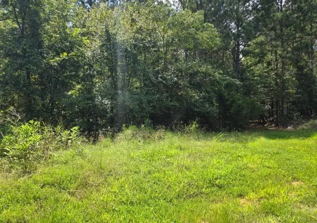 2nd image of 00 Shrine Club Rd, Waterloo, SC 29384 | MLS# SPN340815