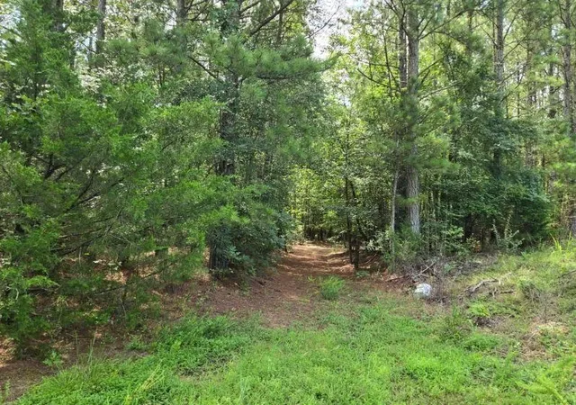 Photo 3 of Land for sale at 00 Shrine Clb Rd, Waterloo, SC 29384 | MLS# SPN340815 | Listing updated on 2026-08-22