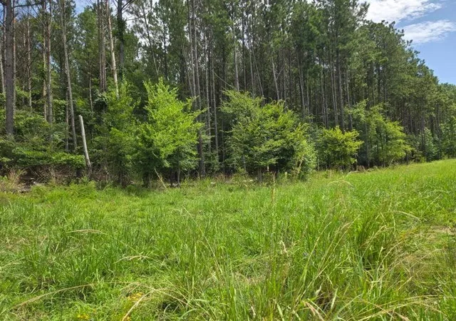 4th image of 00 Shrine Club Rd, Waterloo, SC 29384 | MLS# SPN340815
