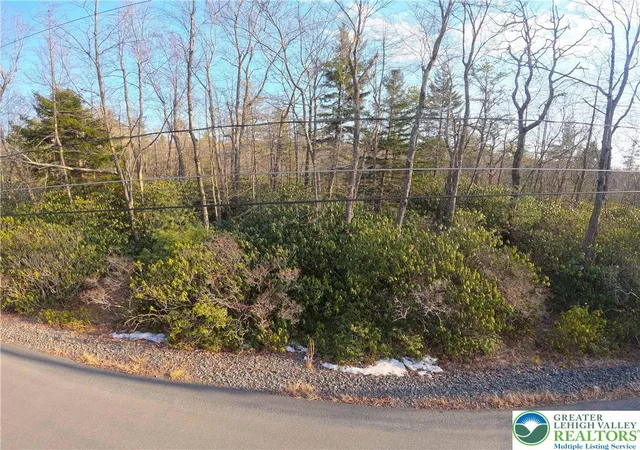 Photo 1 of Land for sale at Delware Dr #C281, Jim Thorpe, PA 18229 | MLS# 769885 | Listing updated on 2026-08-24