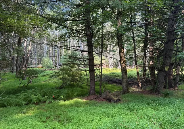 Photo 18 of Land for sale at Rebels Rd #2C, Lackawaxen, PA 18435 | MLS# 781553 | Listing updated on 2026-08-23