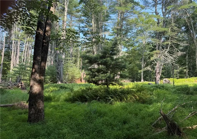 Photo 1 of Land for sale at Rebels Rd #2C, Lackawaxen, PA 18435 | MLS# 781553 | Listing updated on 2026-08-23