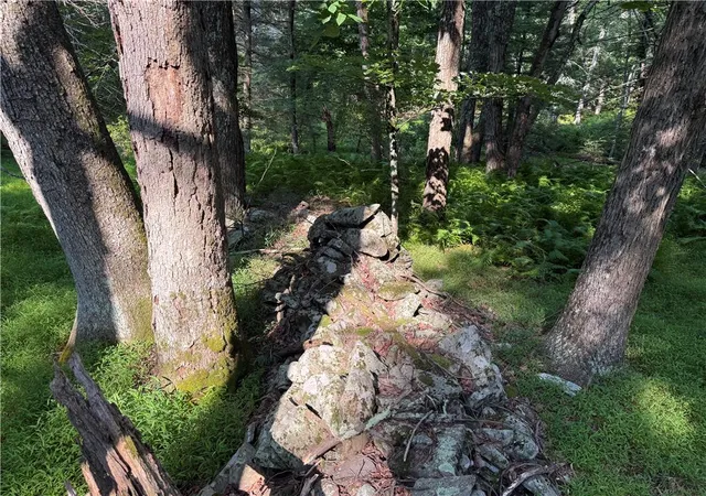Photo 2 of Land for sale at Rebels Rd #2C, Lackawaxen, PA 18435 | MLS# 781553 | Listing updated on 2026-08-23