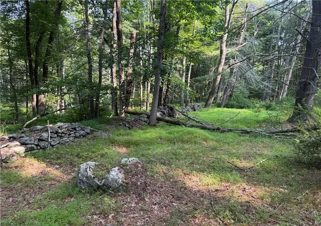 Photo 3 of Land for sale at Rebels Rd #2C, Lackawaxen, PA 18435 | MLS# 781553 | Listing updated on 2026-08-23