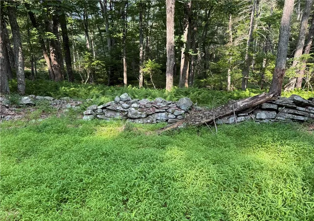 Photo 4 of Land for sale at Rebels Rd #2C, Lackawaxen, PA 18435 | MLS# 781553 | Listing updated on 2026-08-23