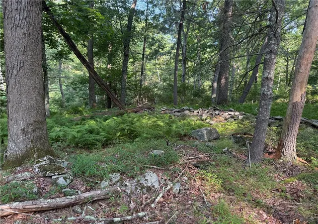 Photo 5 of Land for sale at Rebels Rd #2C, Lackawaxen, PA 18435 | MLS# 781553 | Listing updated on 2026-08-23