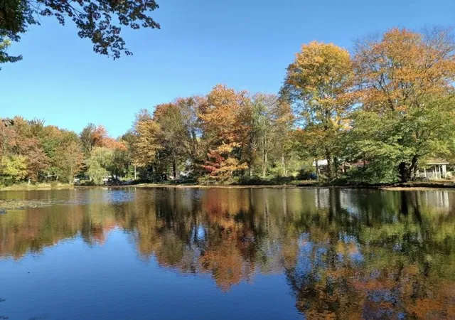 Photo 48 of Single family home for sale at 10 Kizer Pond Rd, Jefferson Township, PA 18436 | MLS# 781747 | Listing updated on 2026-08-23