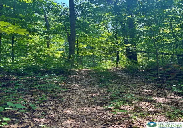 Photo 3 of Land for sale at Tower Rd, Mertztown, PA 19539 | MLS# 782282 | Listing updated on 2026-08-06