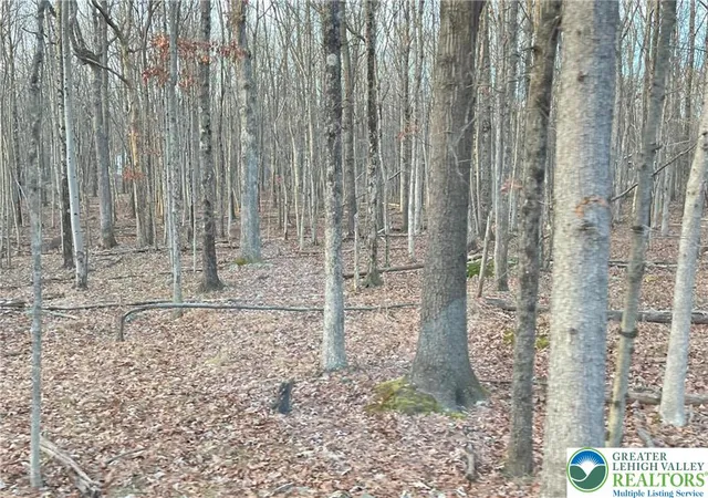 Photo 1 of Land for sale at 6 Occonquan Trl #1723, Penn Forest Twp, PA 18210 | MLS# 782295 | Listing updated on 2026-08-07