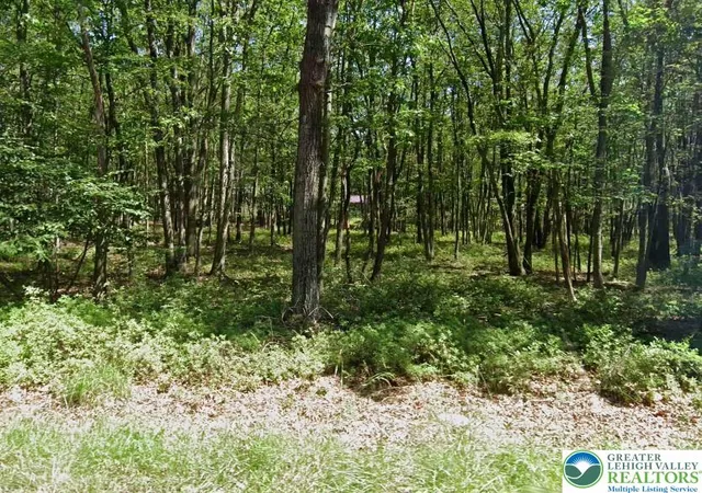 Photo 3 of Land for sale at 71 Pawnee Trl #2521, Albrightsville, PA 18210 | MLS# 782298 | Listing updated on 2026-08-07