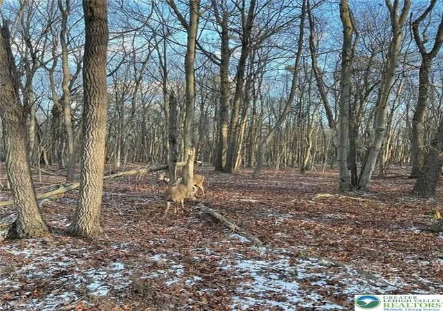 Photo 1 of Sale Pending at 124 Ash Dr, Long Pond, PA 18334 | MLS# 782299 | Listing updated on 2026-08-24