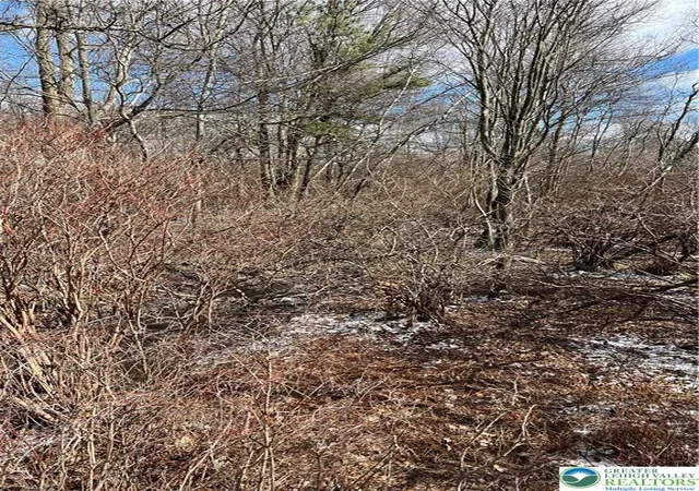 Photo 5 of Sale Pending at 124 Ash Dr, Long Pond, PA 18334 | MLS# 782299 | Listing updated on 2026-08-24
