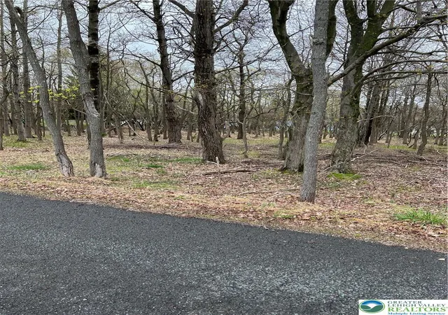 Photo 1 of Land for sale at 255 Pontiac Path Trl #12, Pocono Lake, PA 18347 | MLS# 782300 | Listing updated on 2026-08-07