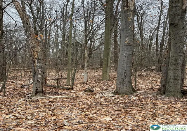 Photo 2 of Land for sale at 255 Pontiac Path Trl #12, Pocono Lake, PA 18347 | MLS# 782300 | Listing updated on 2026-08-07