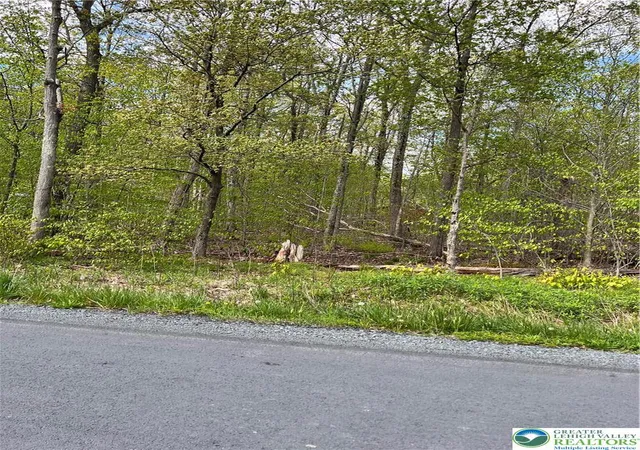 Photo 3 of Land for sale at 255 Pontiac Path Trl #12, Pocono Lake, PA 18347 | MLS# 782300 | Listing updated on 2026-08-07
