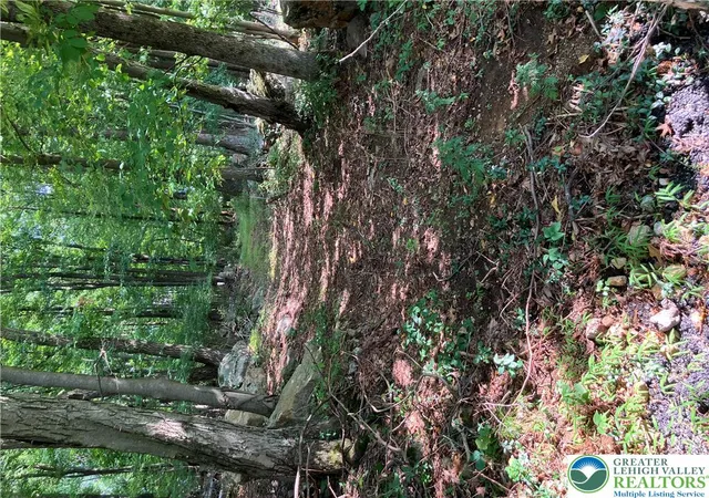 Photo 7 of Land for sale at Banko Ln, Hellertown, PA 18055 | MLS# 782468 | Listing updated on 2026-08-10