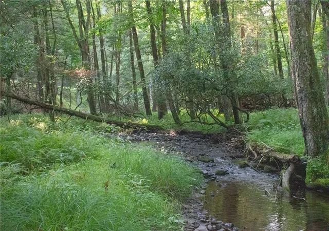 Photo 3 of Land for sale at 590 Cranberry Crk Rd, Cresco, PA 18326 | MLS# 782456 | Listing updated on 2026-08-11