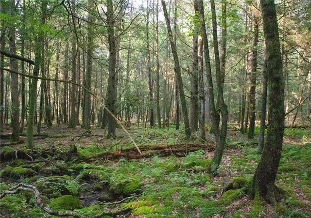 Photo 4 of Land for sale at 590 Cranberry Crk Rd, Cresco, PA 18326 | MLS# 782456 | Listing updated on 2026-08-11