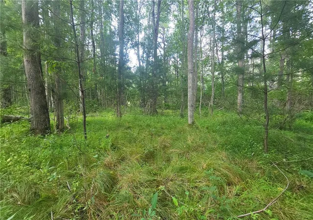 Photo 7 of Land for sale at 590 Cranberry Crk Rd, Cresco, PA 18326 | MLS# 782456 | Listing updated on 2026-08-11