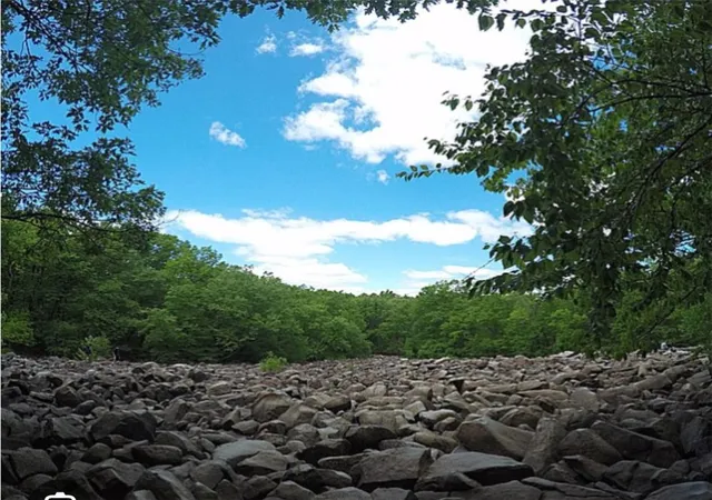 29th image of 1863 Ringing Rocks Rd, Upper Black Eddy, PA 18972 | MLS# 782528