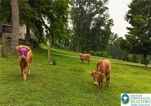 Photo 73 of Single family home for sale at 753 Lower Cherry Valley Rd, Hamilton Twp, PA 18360 | MLS# 783354 | Listing updated on 2026-08-26