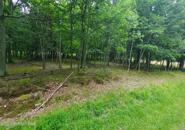 Photo 3 of Land for sale at Lot 95 Pine Ridge Dr W, Bushkill, PA 18324 | MLS# PM-143777 | Listing updated on 2026-08-08