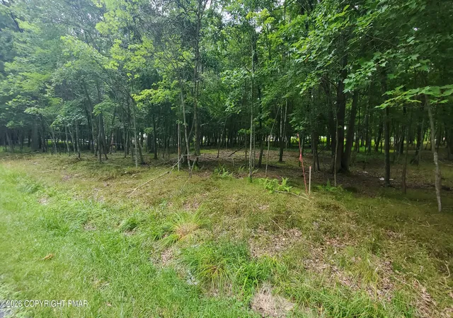 Photo 4 of Land for sale at Lot 95 Pine Ridge Dr W, Bushkill, PA 18324 | MLS# PM-143777 | Listing updated on 2026-08-08