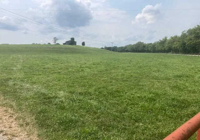 2nd image of 222 Silas Rd, Cynthiana, KY 41031 | MLS# 26022241