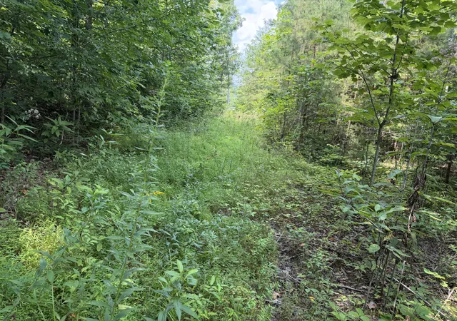1st image of 9 Tucker Hollow Rd, Monticello, KY 42633 | MLS# 26022254