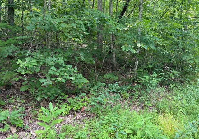 2nd image of 9 Tucker Hollow Rd, Monticello, KY 42633 | MLS# 26022254