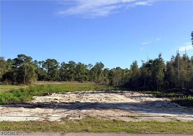 Photo 4 of Land for sale at 870 Arturo St E, Lehigh Acres, FL 33974 | MLS# 2025006071 | Listing updated on 2026-08-26