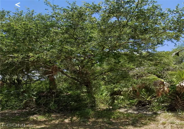 Photo 3 of Land for sale at 1621 Canton Ave, Lehigh Acres, FL 33972 | MLS# 2025008531 | Listing updated on 2026-09-30