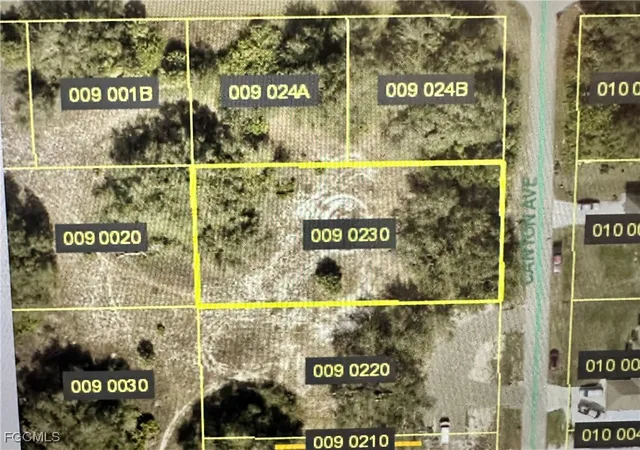 Photo 4 of Land for sale at 1621 Canton Ave, Lehigh Acres, FL 33972 | MLS# 2025008531 | Listing updated on 2026-09-30
