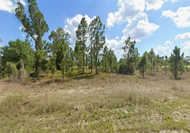 Photo 4 of Land for sale at 3530 Meadow Rd, Lehigh Acres, FL 33974 | MLS# 2025024944 | Listing updated on 2026-08-26